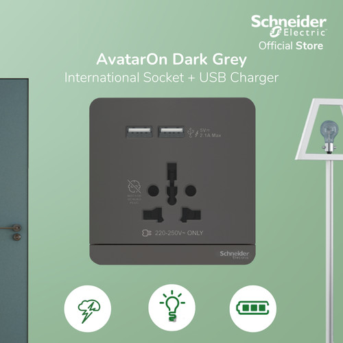 Schneider Electric AvatarOn Int Socket 16A USB 2.1A - E8342616USB_DG