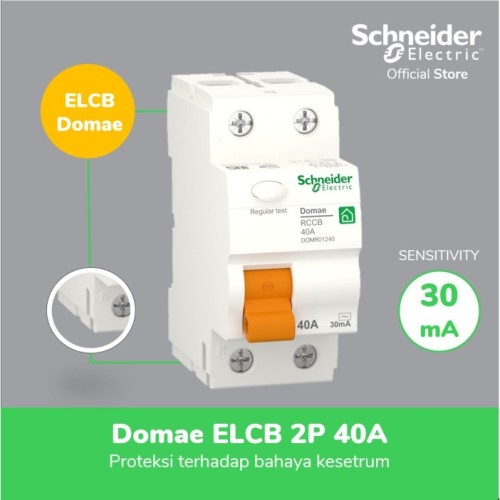 Schneider Electric Domae ELCB - 2P 30mA 40 A - DOMR01240