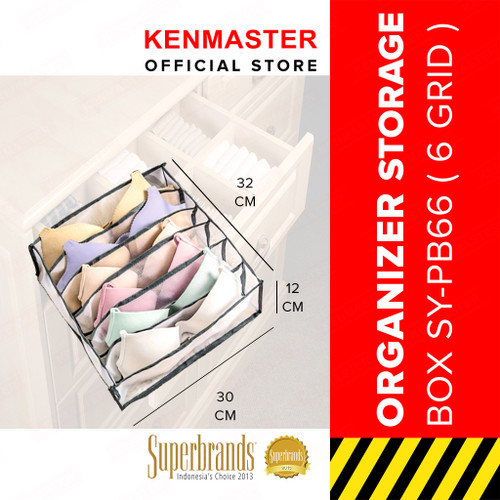 Tempat Penyimpanan Pakaian Dalam L- 6 Grid Oragnizer Storage-OL035-03