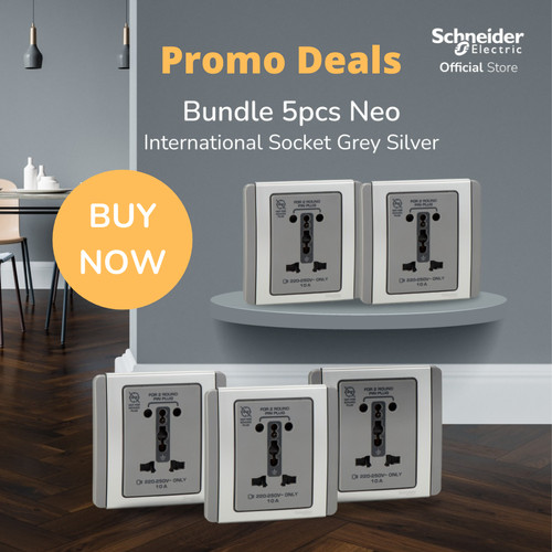 Bundle Schneider Neo International Socket 5pcs