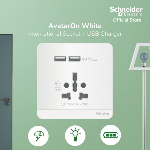 Schneider Electric AvatarOn Int Socket 16A USB 2.1A - E8342616USB_WE